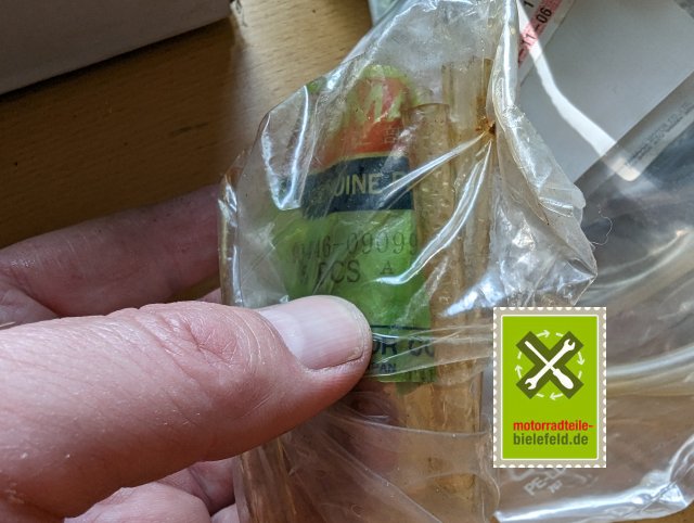 PXL_20240510_150925852